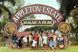 Appleton-Rum-Estate-Tour