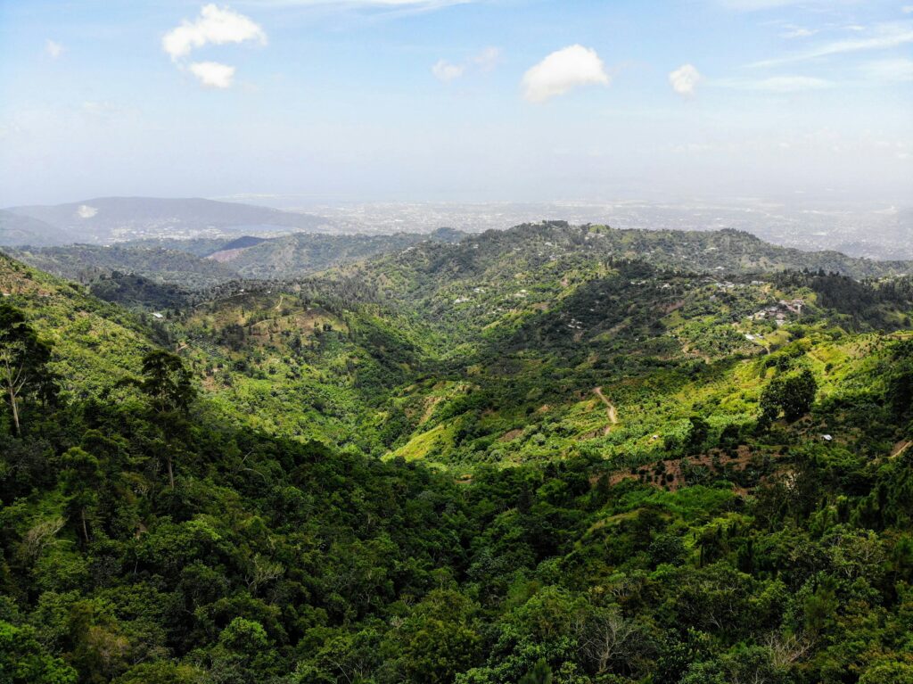 Blue Mountain Hiking