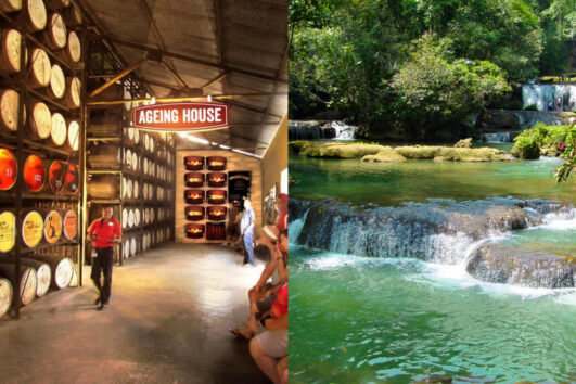 Appleton Rum Tour & YS Falls