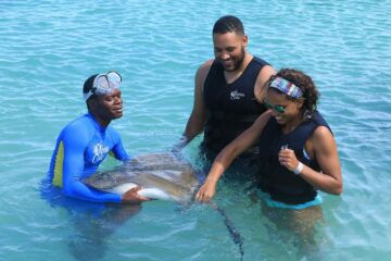 Dolphin Cove, Montego Bay, jamaica, island wave tours