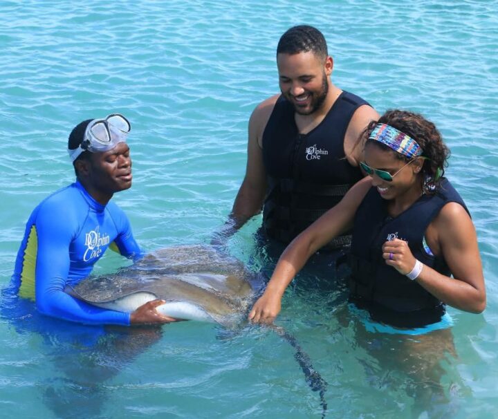 Dolphin Cove, Montego Bay, jamaica, island wave tours